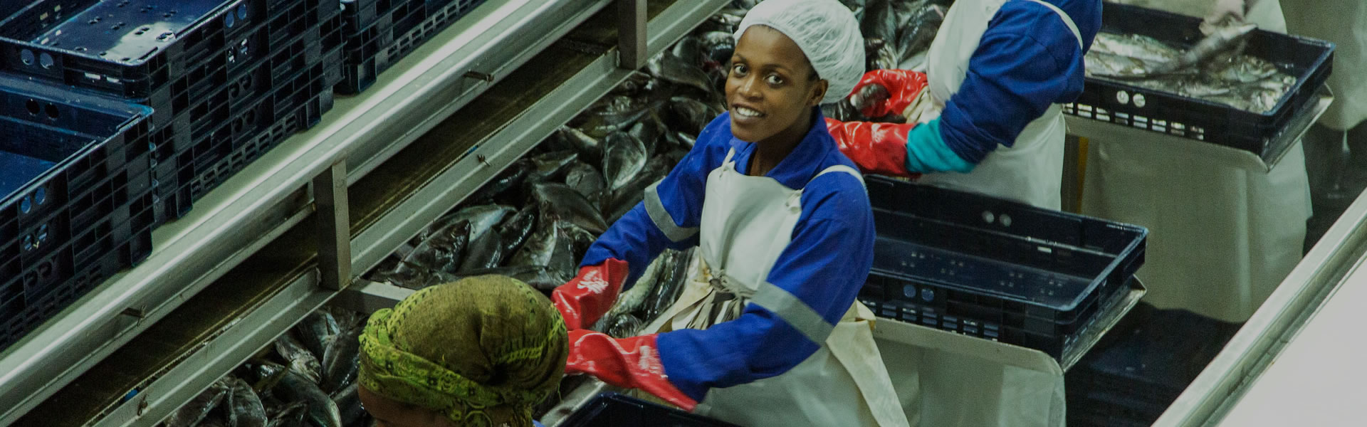 Angola Capital Partners