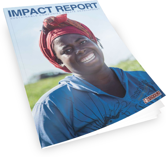 Our first Impact Report